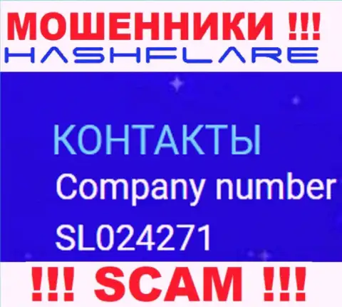 Номер регистрации, под которым официально зарегистрирована компания ХэшФлэер: SL024271