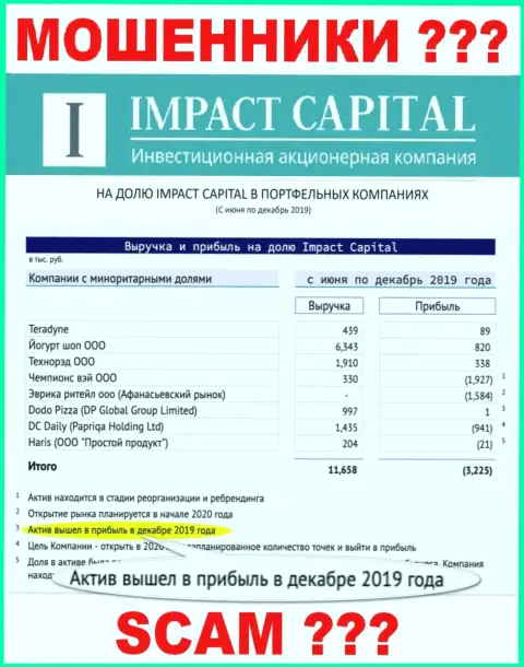 На официальном интернет-ресурсе ImpactCapital Com рисуют доход организации ?