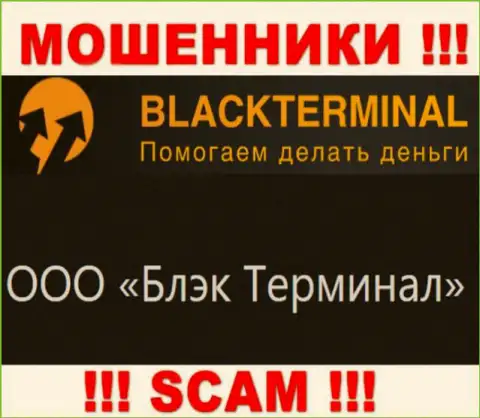 На официальном сайте BlackTerminal Ru написано, что юр лицо компании - ООО Блэк Терминал