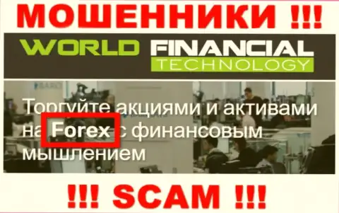 WFT-Global Org - это мошенники, их деятельность - Forex, направлена на кражу финансовых активов наивных людей