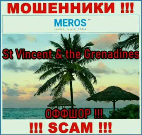 St Vincent & the Grenadines - это юридическое место регистрации компании Meros TM