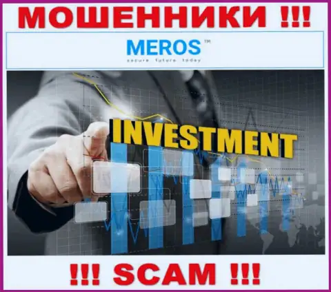 MerosTM жульничают, оказывая мошеннические услуги в области Investing