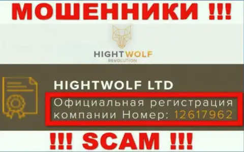 Наличие регистрационного номера у HightWolf (12617962) не значит что организация солидная