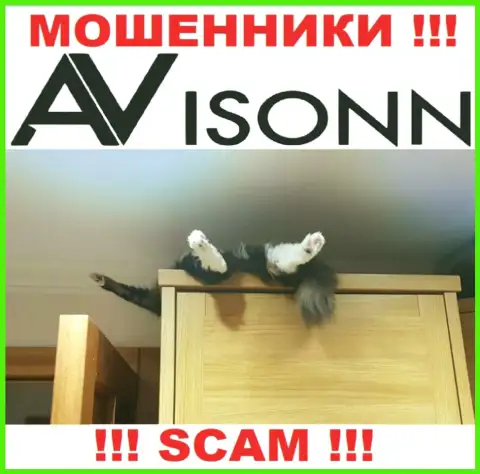 На сайте кидал Avisonn Com Вы не отыщите сведений об регуляторе, его нет !!!