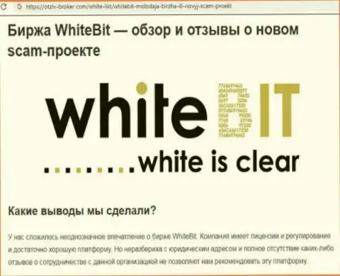 White Bit - это организация, взаимодействие с которой доставляет только потери (обзор)