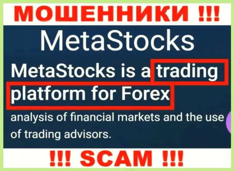 Деятельность аферистов Meta Stocks: Торговая платформа - это капкан для неопытных людей