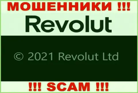 Юридическое лицо Revolut - это Revolut Limited, именно такую информацию разместили воры у себя на сайте