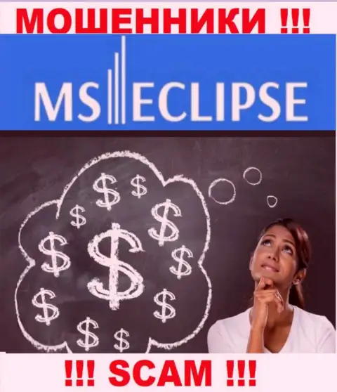 Работа с компанией MS Eclipse доставит только лишь растраты, дополнительных налоговых сборов не вносите