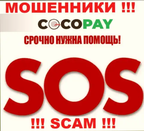 Можно еще попробовать вернуть вложенные денежные средства из организации Coco Pay, обращайтесь, подскажем, что делать