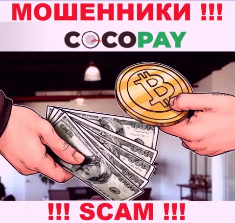 Не нужно доверять денежные вложения Coco-Pay Com, так как их область работы, Обменка, ловушка