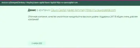 Брокерская организация Cauvo Capital представлена в публикации на информационном портале Ревокон Ру