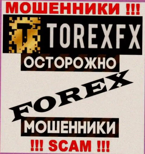 Тип деятельности TorexFX: Forex - отличный заработок для internet-жуликов